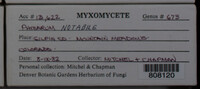 Image Associated With the Occurence